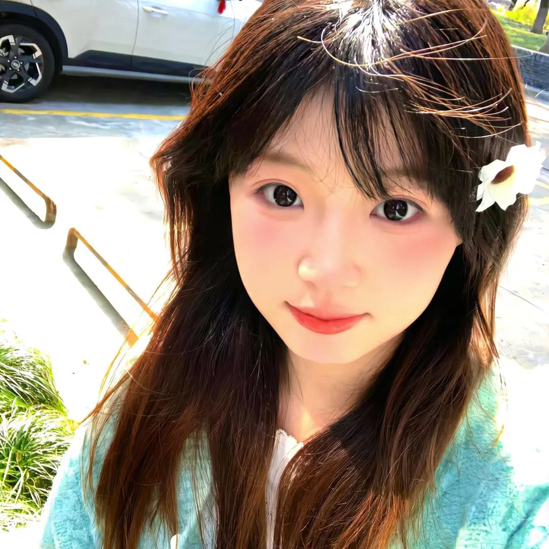 小猫熊历险记