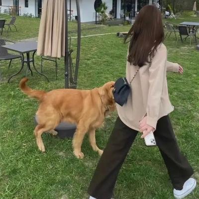 杜拉拉之似水年华